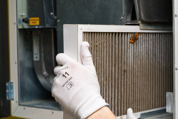 Best HVAC System Cleaning  in Beech Island, SC